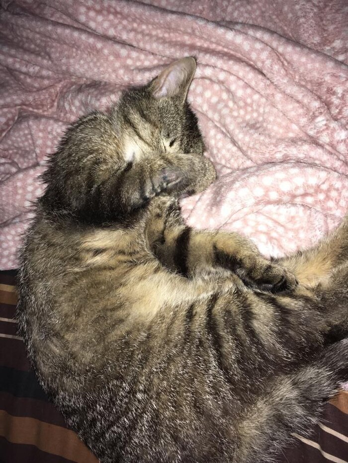 ����� ����� ������ ��� ��������� ���� :3