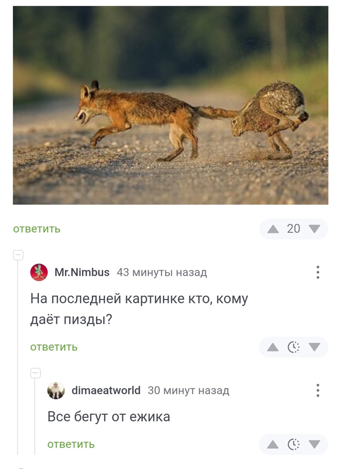    , ,   , 