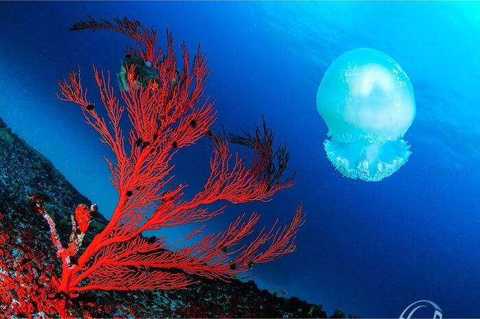 Солнечное затмение