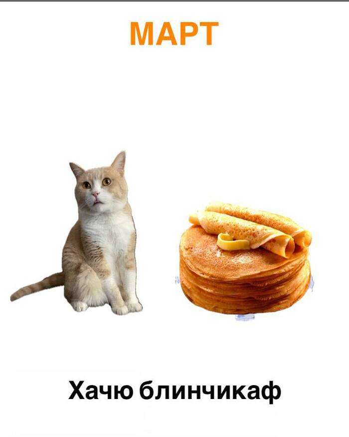     : ,   , , , , , , , , 