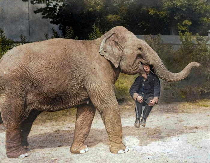 Подборка фотографий из прошлого, которые заставляют удивиться. 20 раскрашенных фотографий из XIX-ХХ века. Часть XVI Старое фото, Фотография, Историческое фото, 20 век, Колоризация, Длиннопост