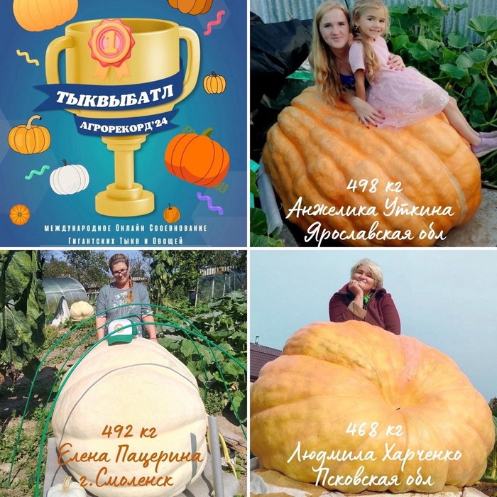 Соревнование гигантских тыкв и овощей в 2024 году