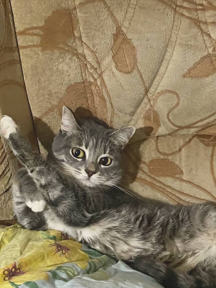   ! , , , ,  , 