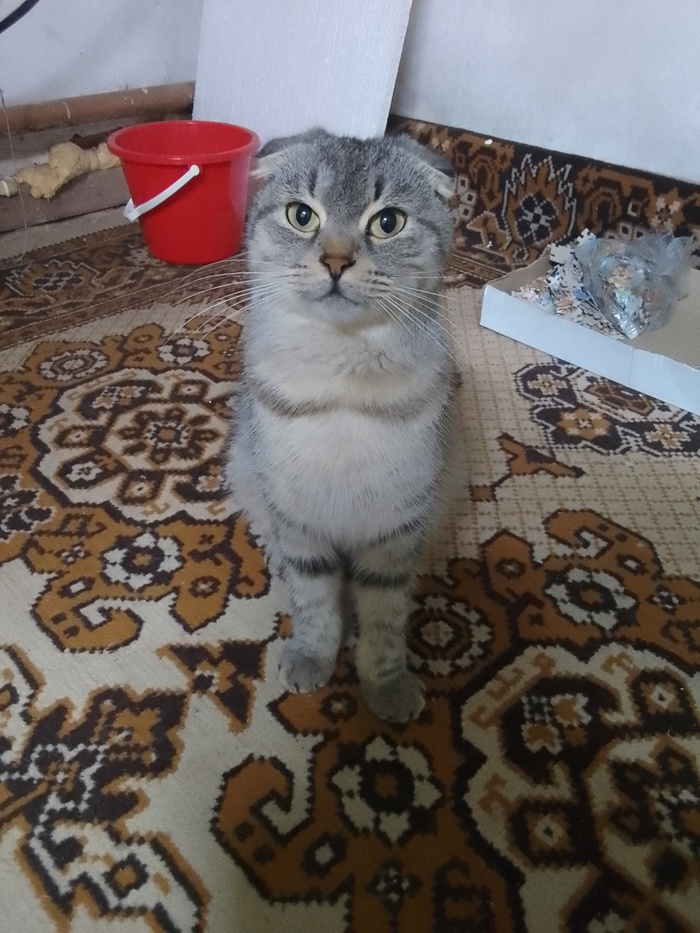      , , , ,  , , ,  , , , , , , 