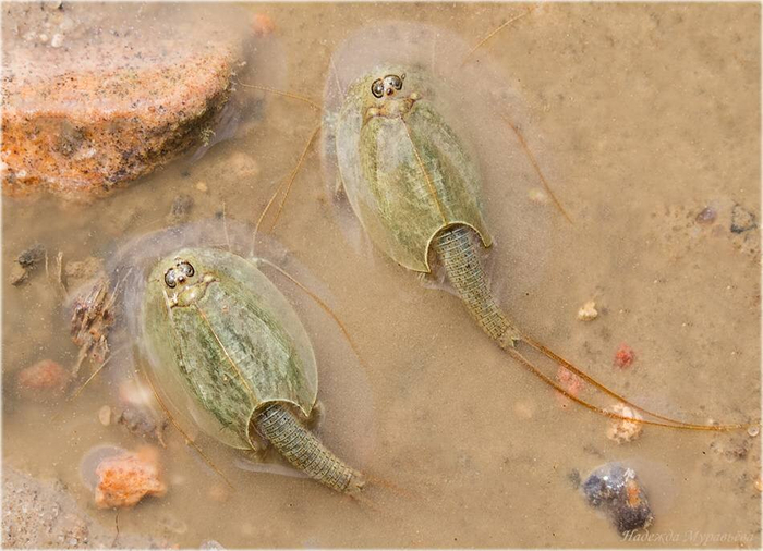 ,          !   ?!     ! !