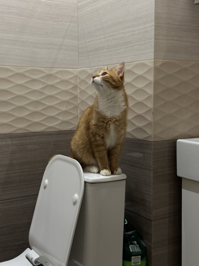 ���������� �������