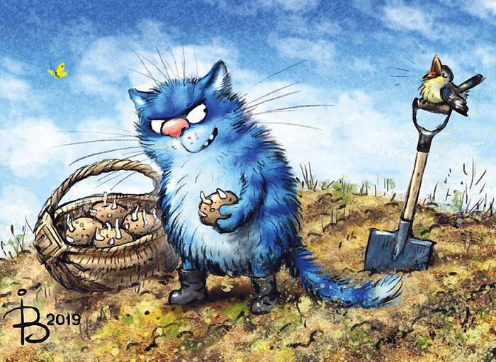 �������������� ���� ���� �����.