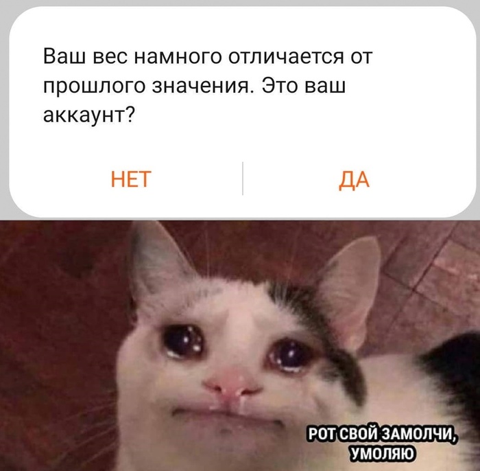 ,    ,     