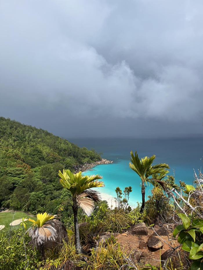 СЕЙШЕЛЫ. Почему меня туда больше не тянет Яхтинг, Путешествия, Сейшелы, Акула, Длиннопост