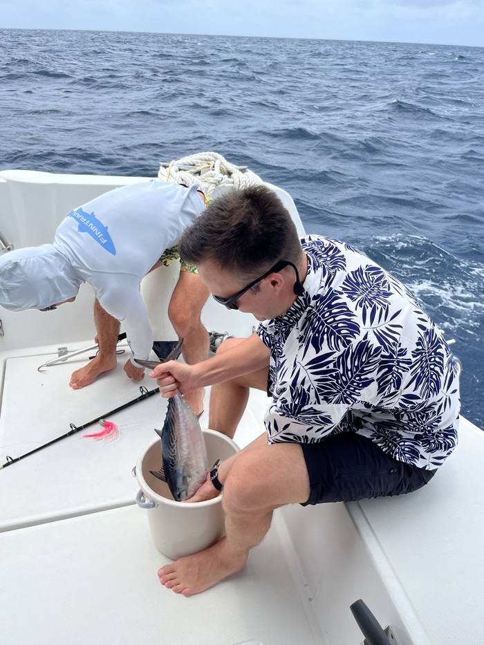 СЕЙШЕЛЫ. Почему меня туда больше не тянет Яхтинг, Путешествия, Сейшелы, Акула, Длиннопост