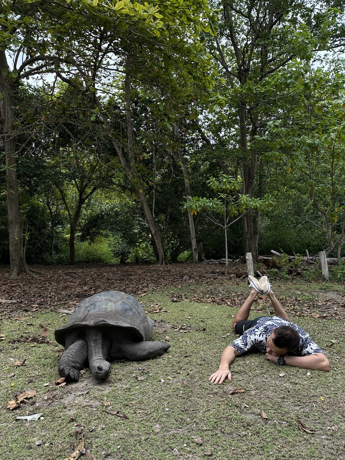 СЕЙШЕЛЫ. Почему меня туда больше не тянет Яхтинг, Путешествия, Сейшелы, Акула, Длиннопост