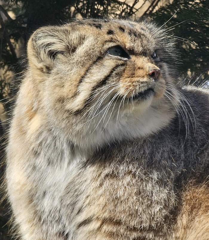 Суббота начинается с отличной новости!