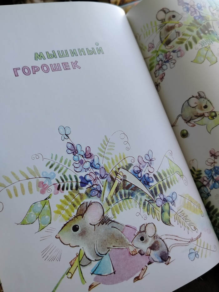    , , , , , , , , , , ,  ,  , ,  , , 