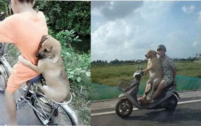 Вырос и сам стал катать