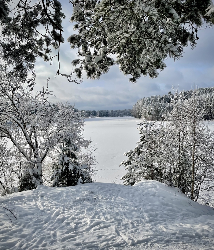 �������-�� ���������� ���� ������