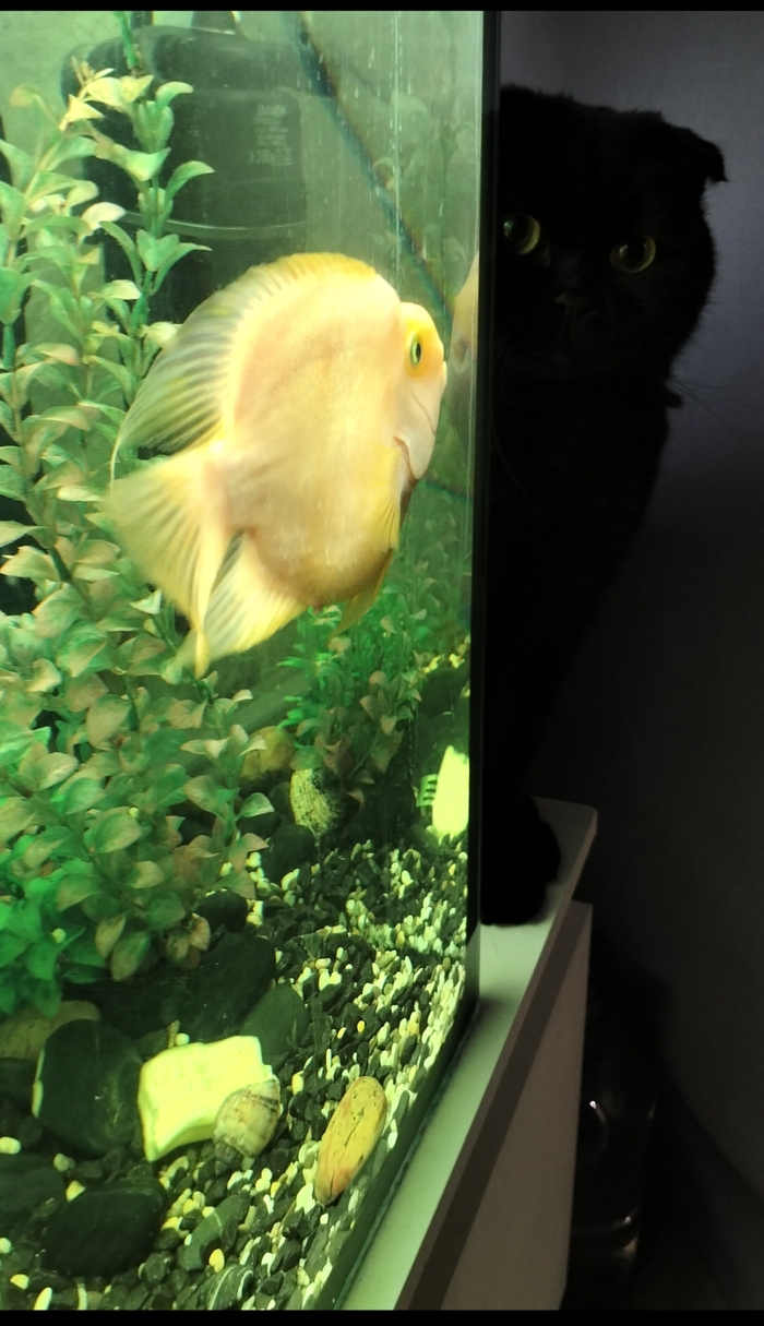 Не знаешь, кормить сегодня будут?