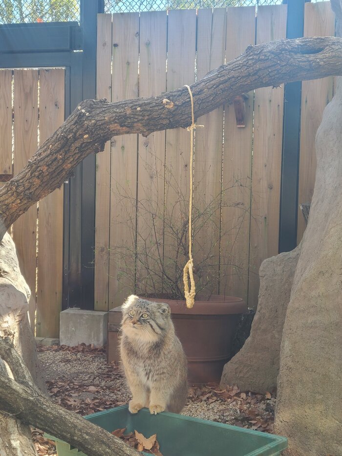 На крайний случай...