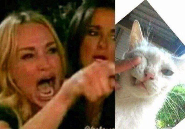  -    