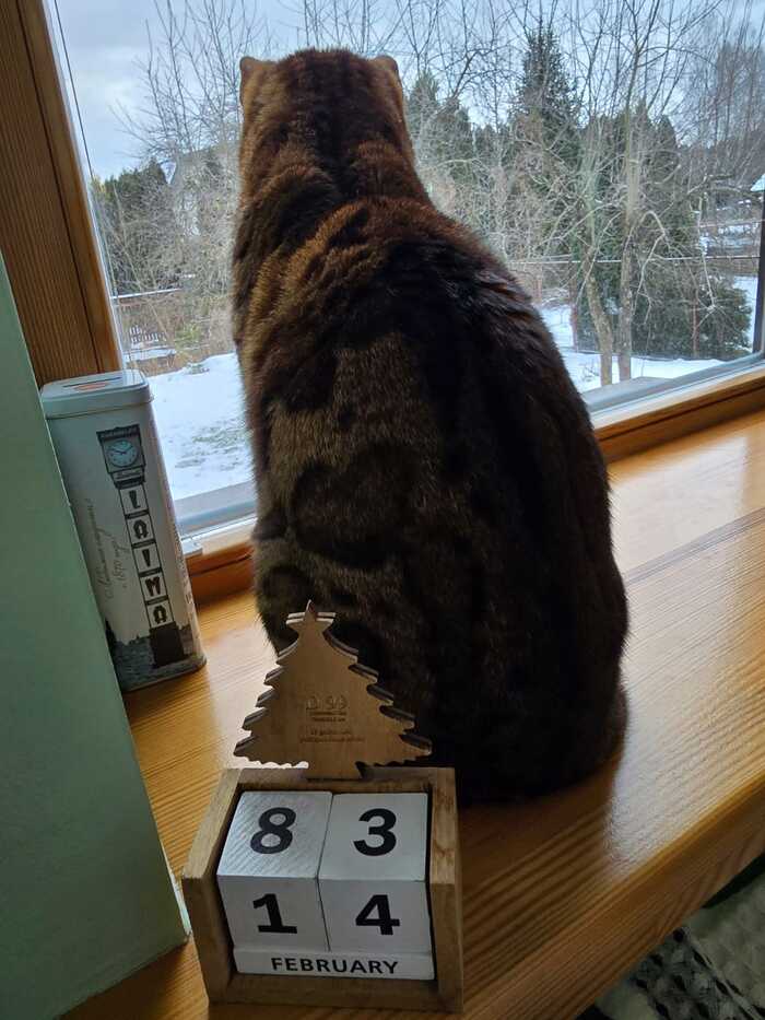    -!  , , , 14  -   