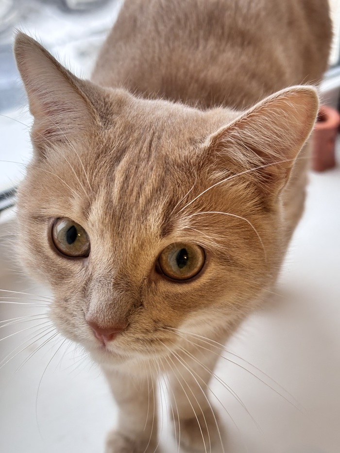 � ��� ����� �� ����� ������