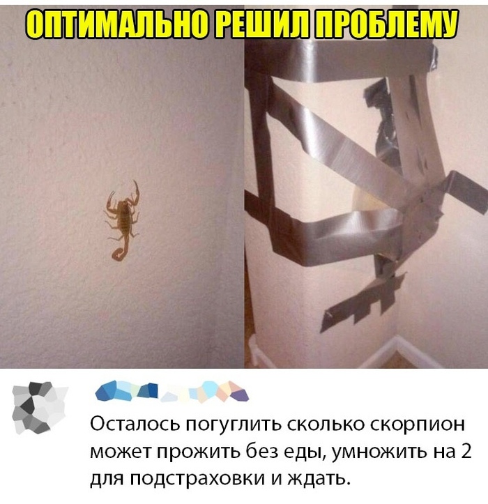    , , , , , 