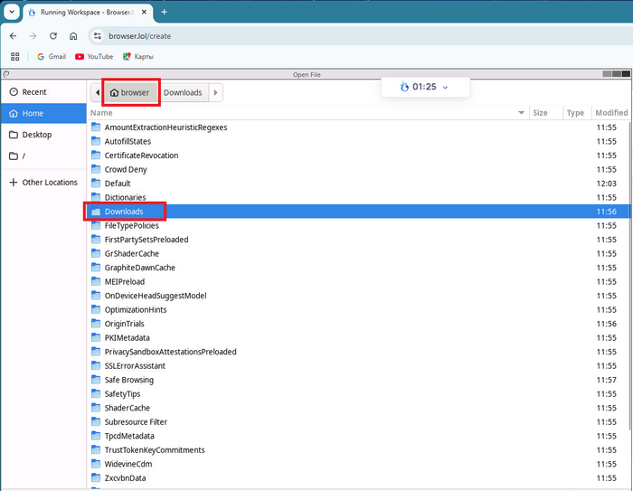 Переходим в папку Browser-Loads.