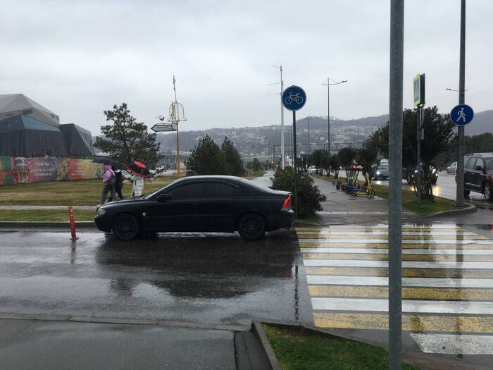 Через день ситуация повторилась, в том же месте(( Было сильное желание сделать что ни будь плохое, но воспитали так - не делай зла другим. Хочется что бы такого водителя наказали по закону, но похоже ни ГИБДД, ни руководству Сочи Парк до этого дел нет.