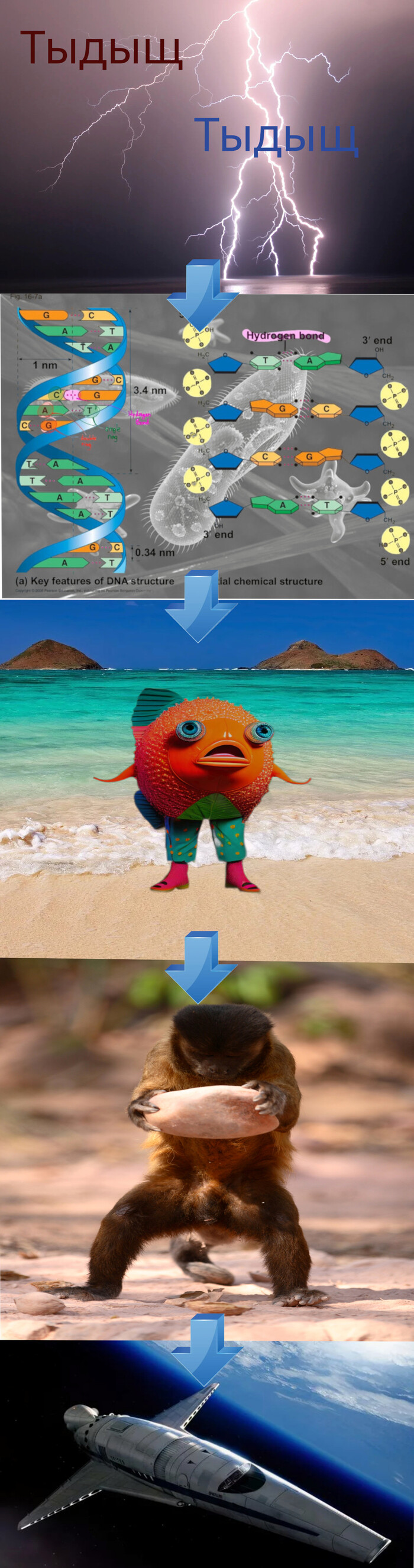 Эволюция глазами дарвинистов