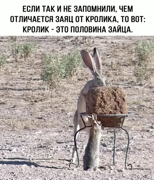  , , , , ,   , , ,  