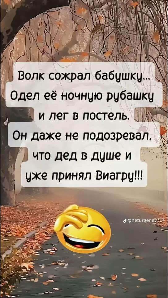  ,   , 