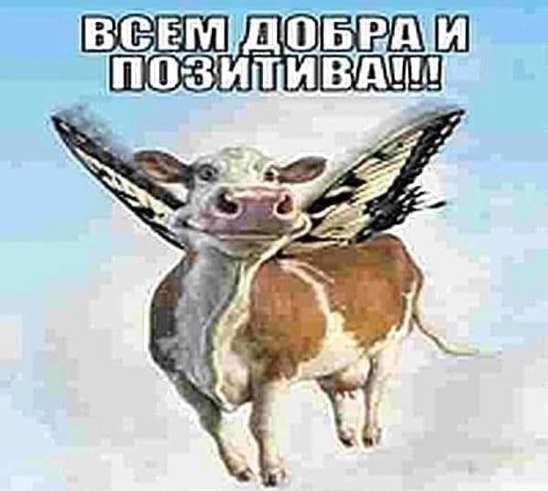 ��������� ���, ������ �� ���-�� �����