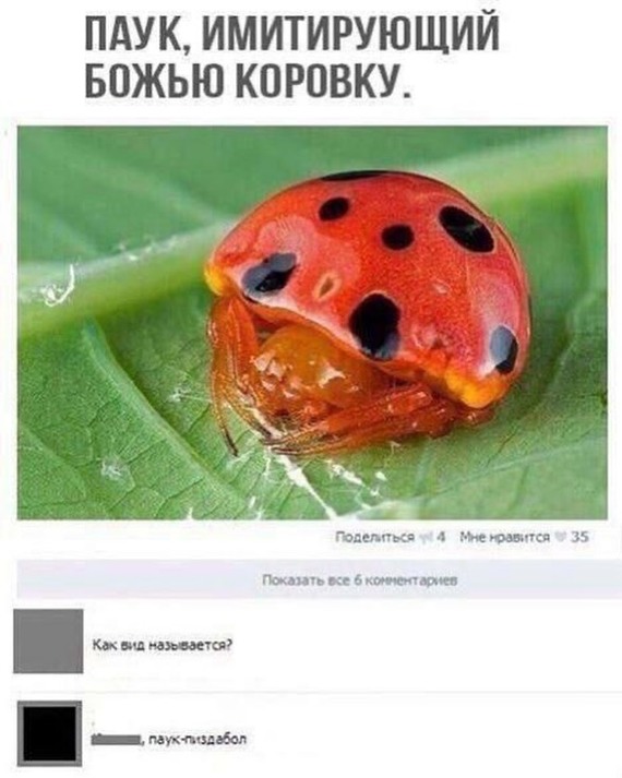    , , , , ,  , ,   ,  