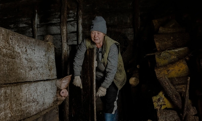 Галина, жительница Больших Солдаток, со своей свиньёй. Её деревня регулярно подвергается обстрелам и атакам беспилотников и отрезана от газоснабжения