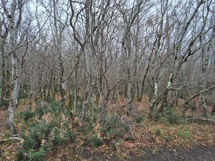 ������������ ����� �������� ����������������� ��������