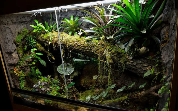 ������, ������ -��� ��� ��.