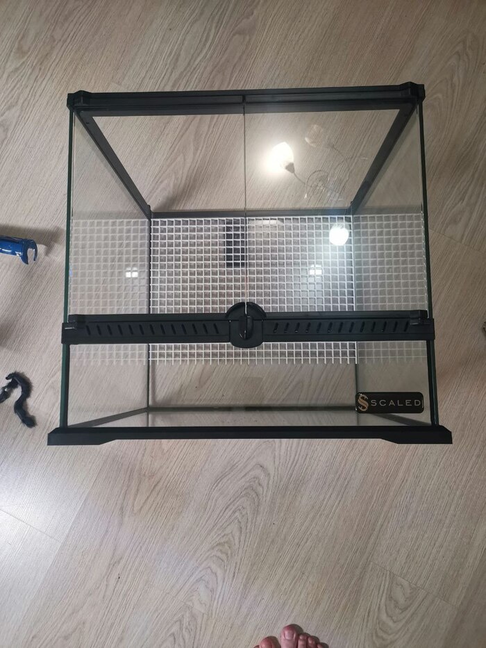 ��� �������� ���������