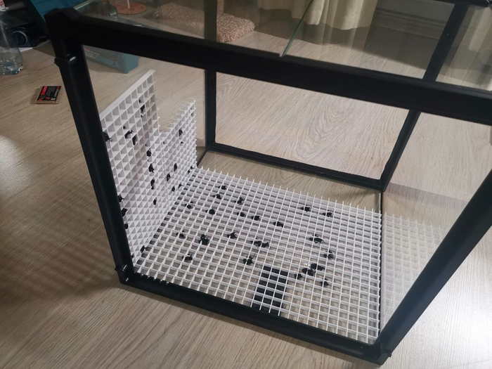 ��������� "��������" �� ����������� ��������