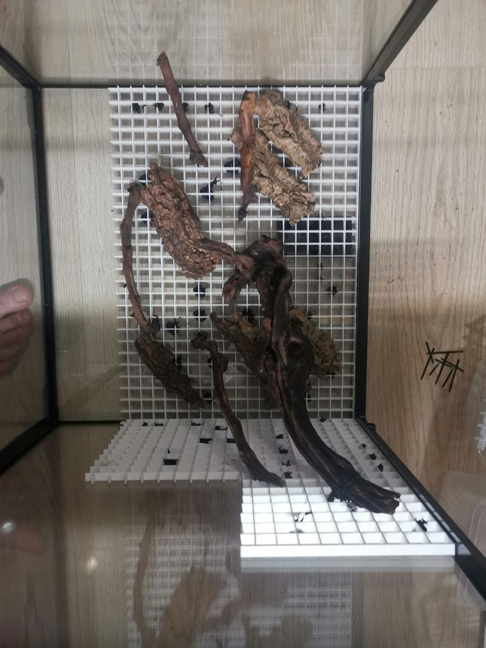 ����� ���� � ������