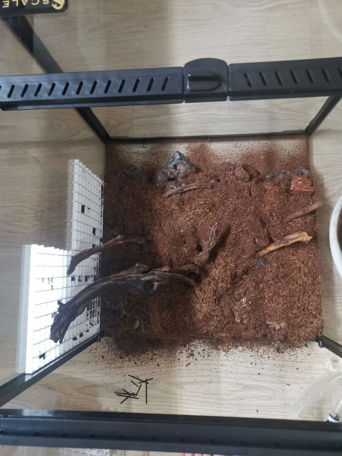 ������ �����