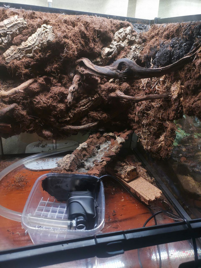 �� ���������, �� � � �� ��������� �����. "�����" ��� ������ - �� ����� ����� �������� � ����, ������ �����.