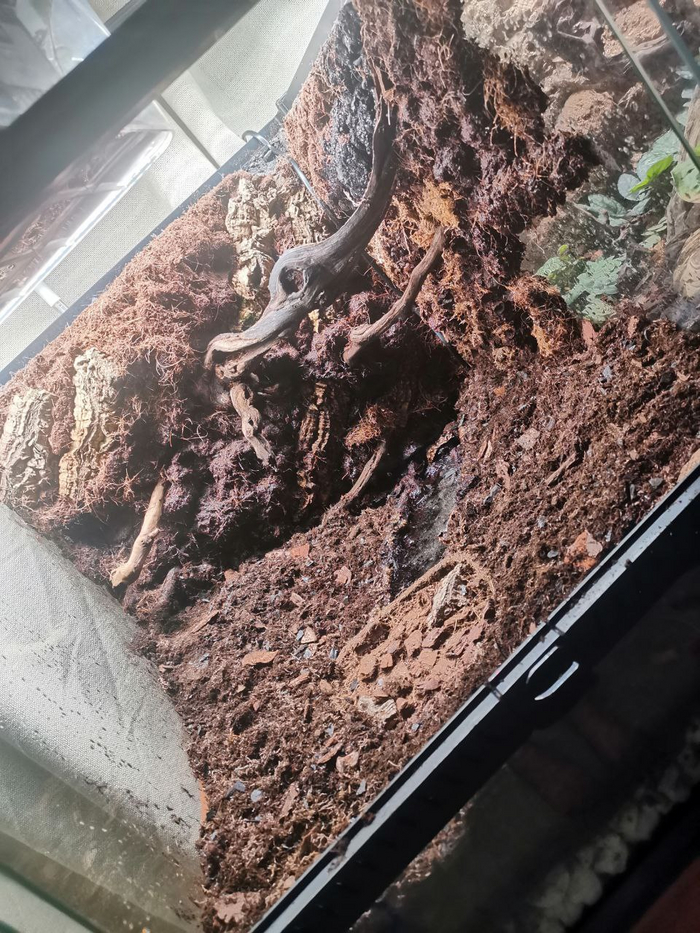 �����, �����, � �.�.