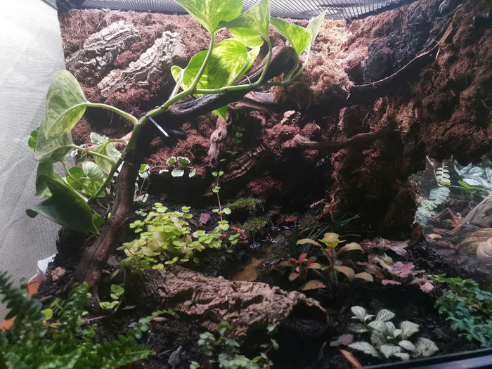 ��� � ��� ������ �������