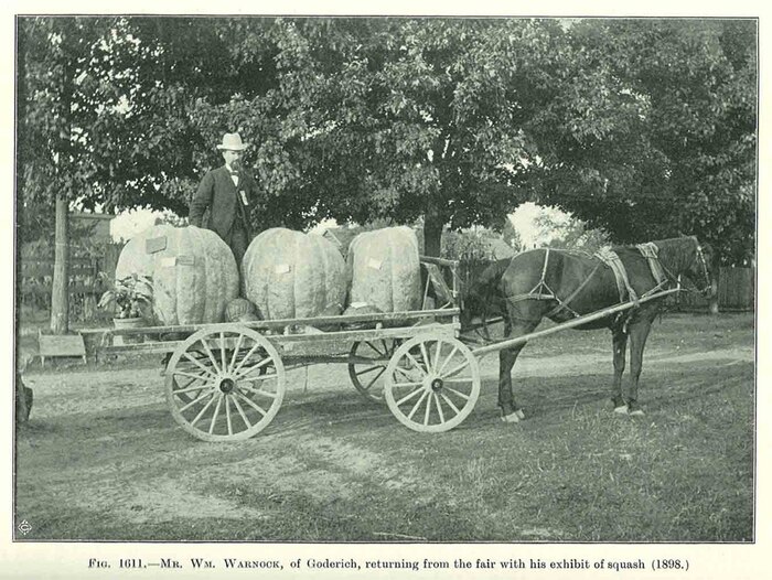 �� ���� ������ ������ ������������ �� �������� �� ������ ����������� �������.