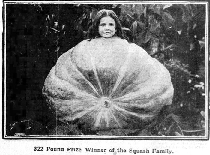 Дочка Ульяма Уорнока и его сквош