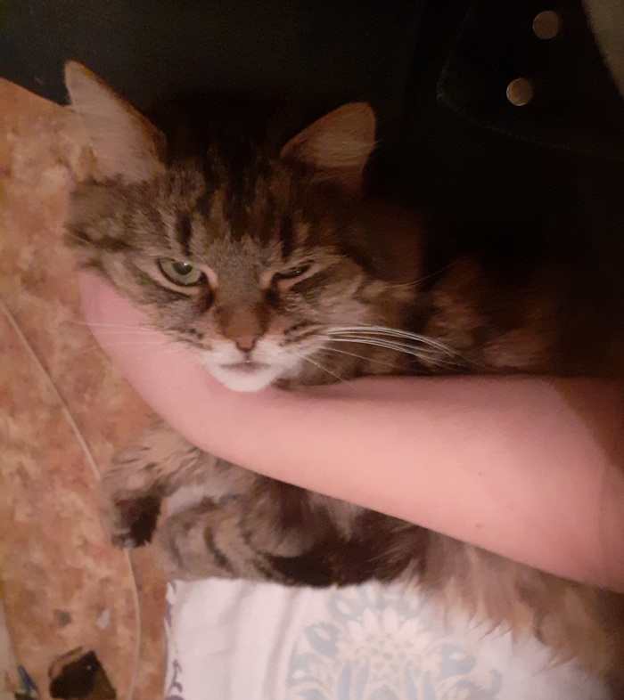 - � ����� ������������...��, ����������...��� �������...- � ��������� ����������� ��...������ ����� �������� �� �������...