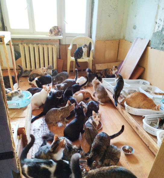   . .      : "     .    ,            "