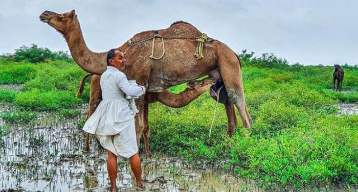   2015      10 . ,   2021        4.5 .