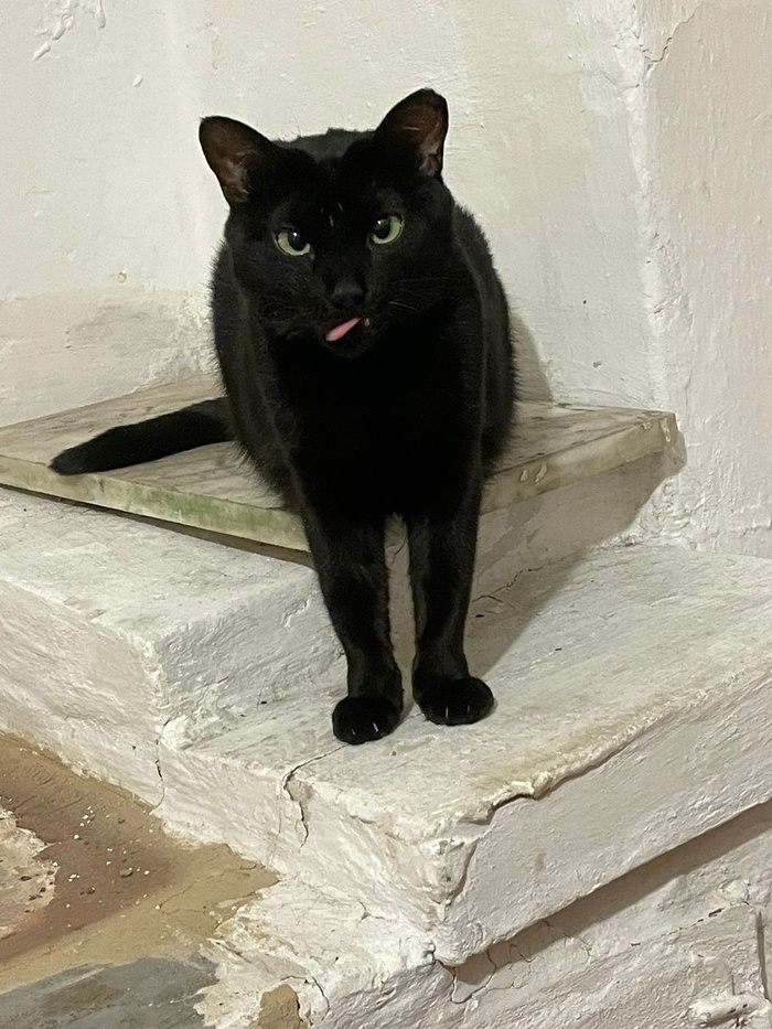     ,  , , , 