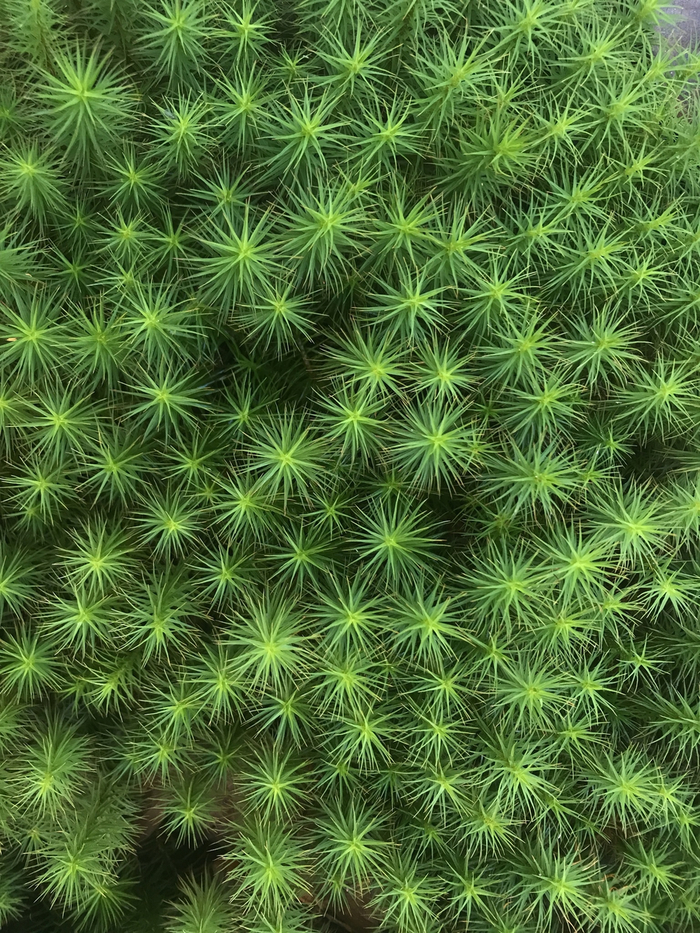    ? , ,  , ,  ,   (), 