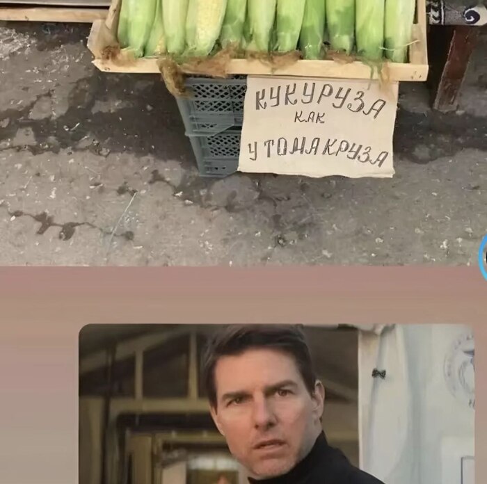 У Тома Круза